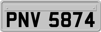 PNV5874