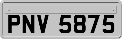 PNV5875