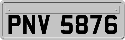 PNV5876