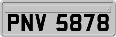 PNV5878