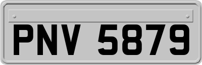 PNV5879