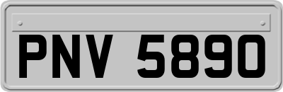 PNV5890