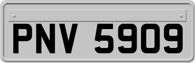 PNV5909