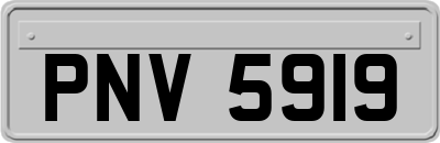 PNV5919