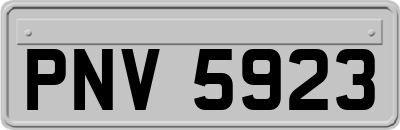 PNV5923