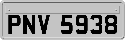 PNV5938