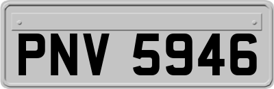 PNV5946
