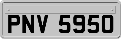 PNV5950