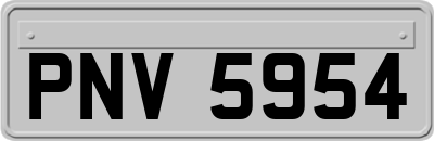PNV5954