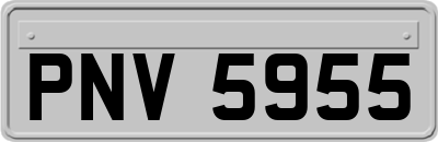 PNV5955