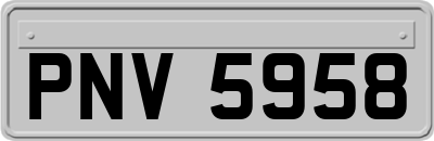 PNV5958