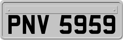 PNV5959