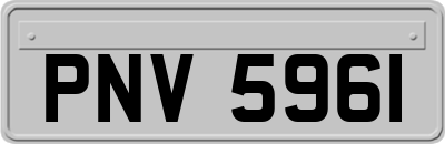 PNV5961