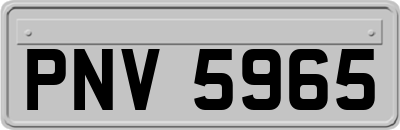 PNV5965