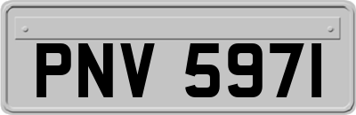 PNV5971