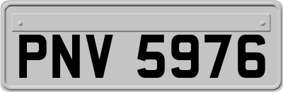 PNV5976