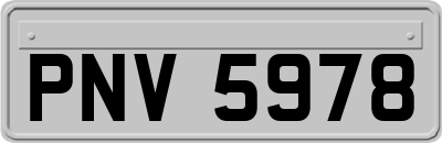 PNV5978
