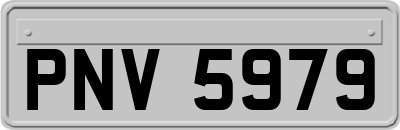 PNV5979