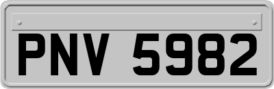PNV5982