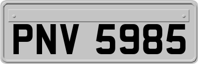 PNV5985