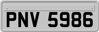 PNV5986