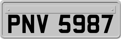 PNV5987