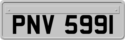 PNV5991