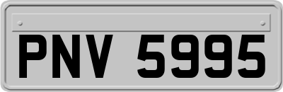 PNV5995