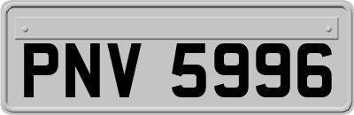 PNV5996