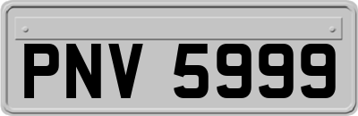 PNV5999