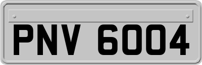 PNV6004