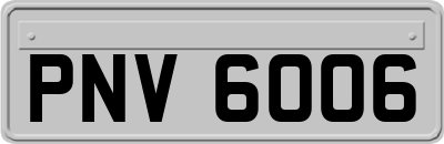 PNV6006
