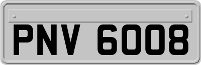 PNV6008