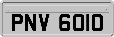 PNV6010
