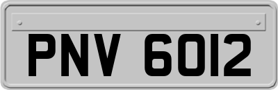 PNV6012