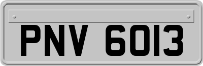PNV6013