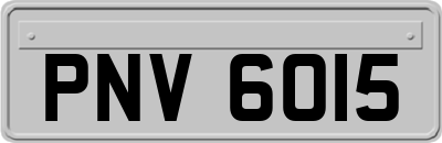 PNV6015