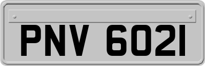PNV6021