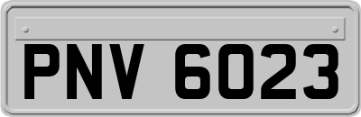 PNV6023