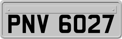 PNV6027