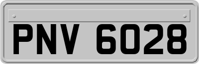 PNV6028