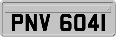 PNV6041