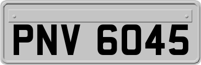 PNV6045