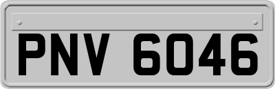 PNV6046