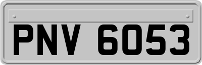 PNV6053