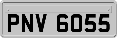 PNV6055