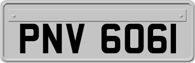 PNV6061