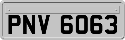 PNV6063