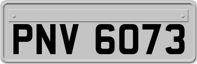 PNV6073