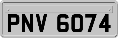 PNV6074